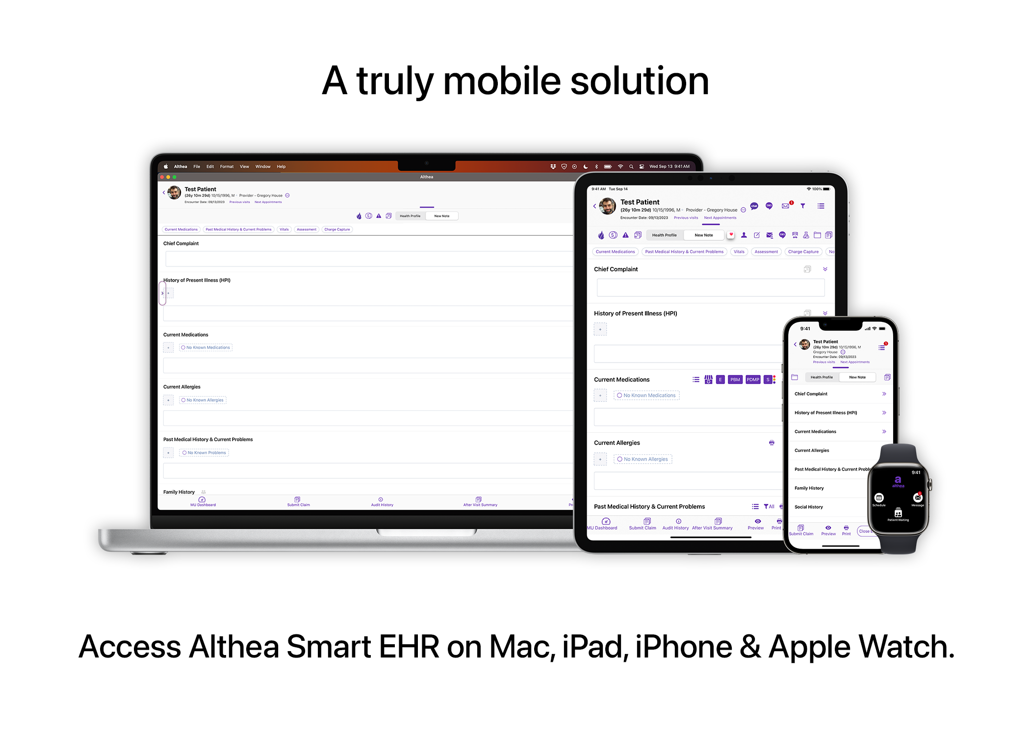 screenshot of Althea Smart EHR